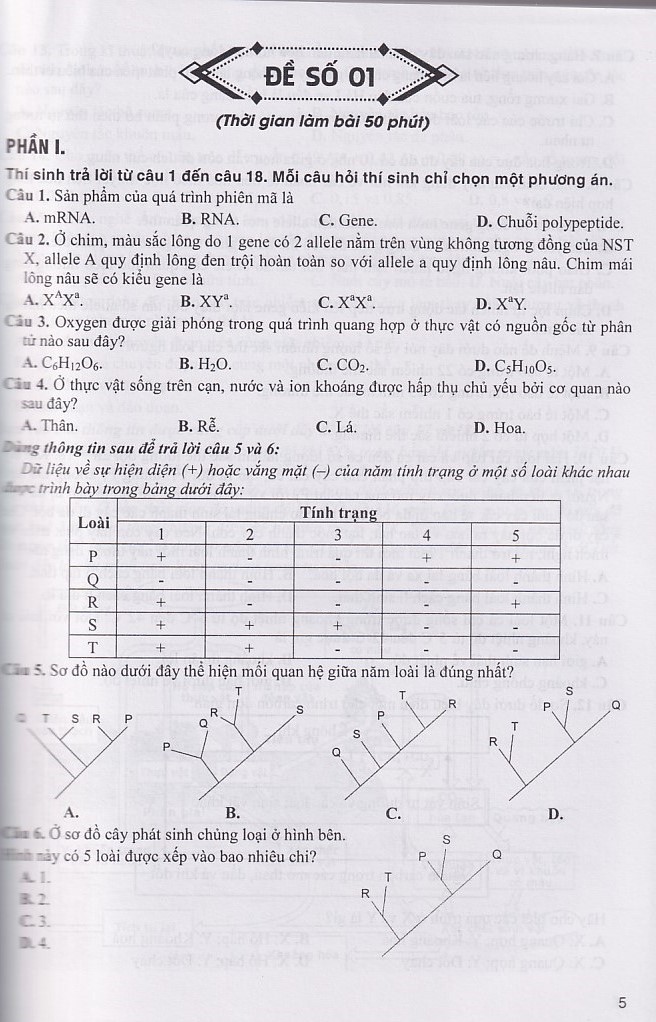 Bộ đề Sinh học cấu trúc đề thi năm 2025 (Dùng chung cho các bộ SGK)