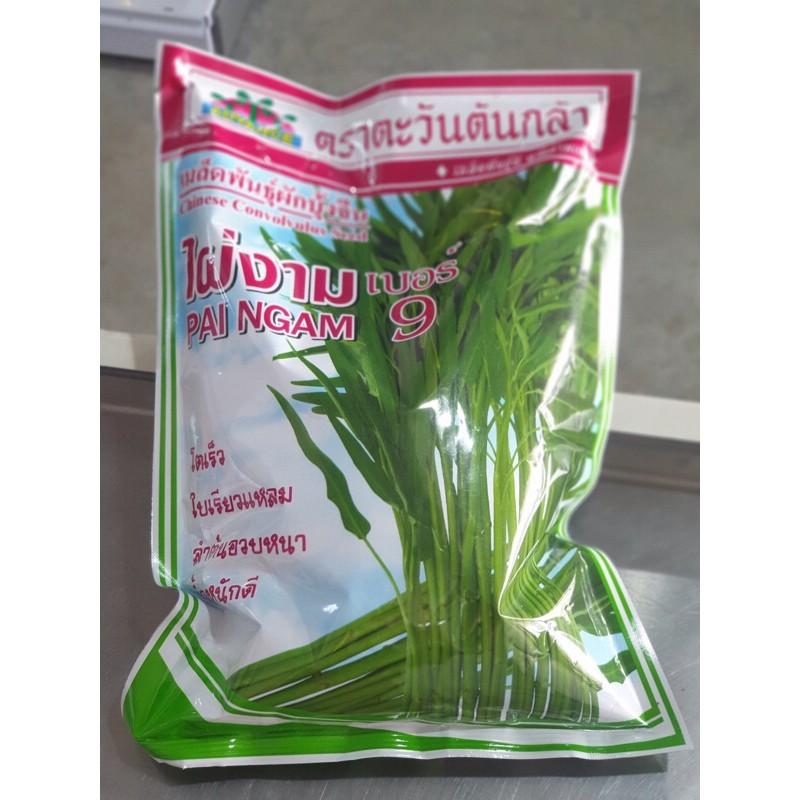 1 KG Hạt giống rau muống giòn Thái Lan