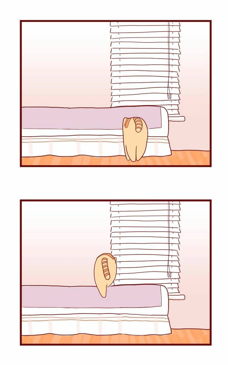 saphie: chú mèo một mắt chapter 10 13