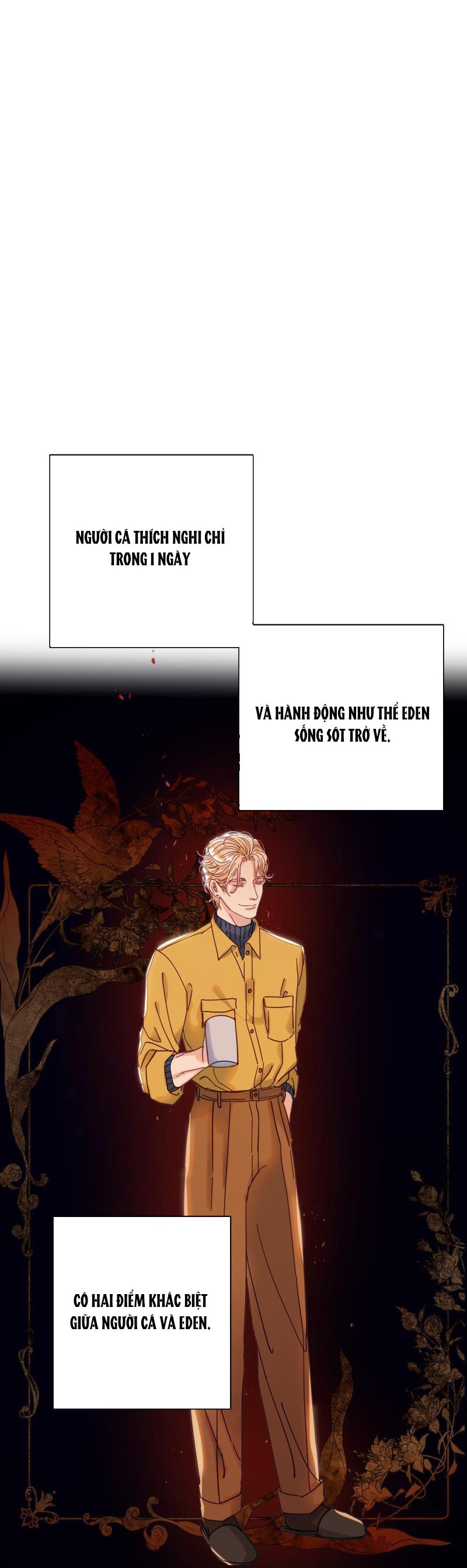 tiên cá trên bờ chapter 6 18