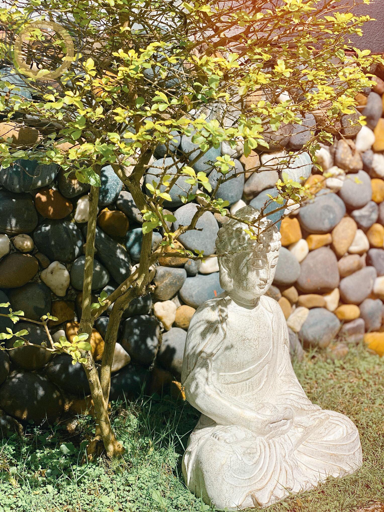 Tượng Phật Thiền Ôm Châu - Sân Vườn