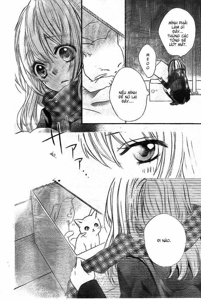 tình yêu của hiyo chapter 4 35