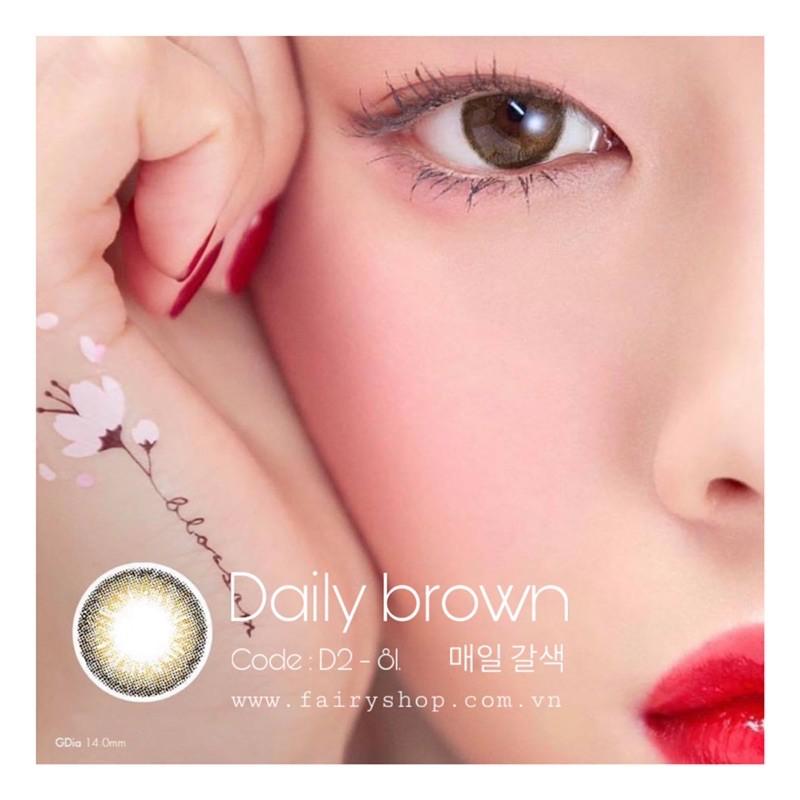 Kính Áp Tròng Daily Brown 14.0mm - FAIRY SHOP CONTACT LENS - độ cận 0 đến 8