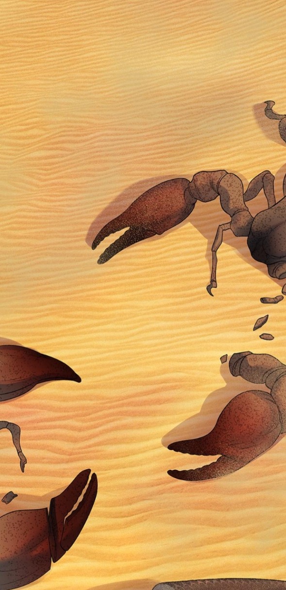 tôi tưởng bản thân không còn sống được bao lâu! chapter 80.1 11