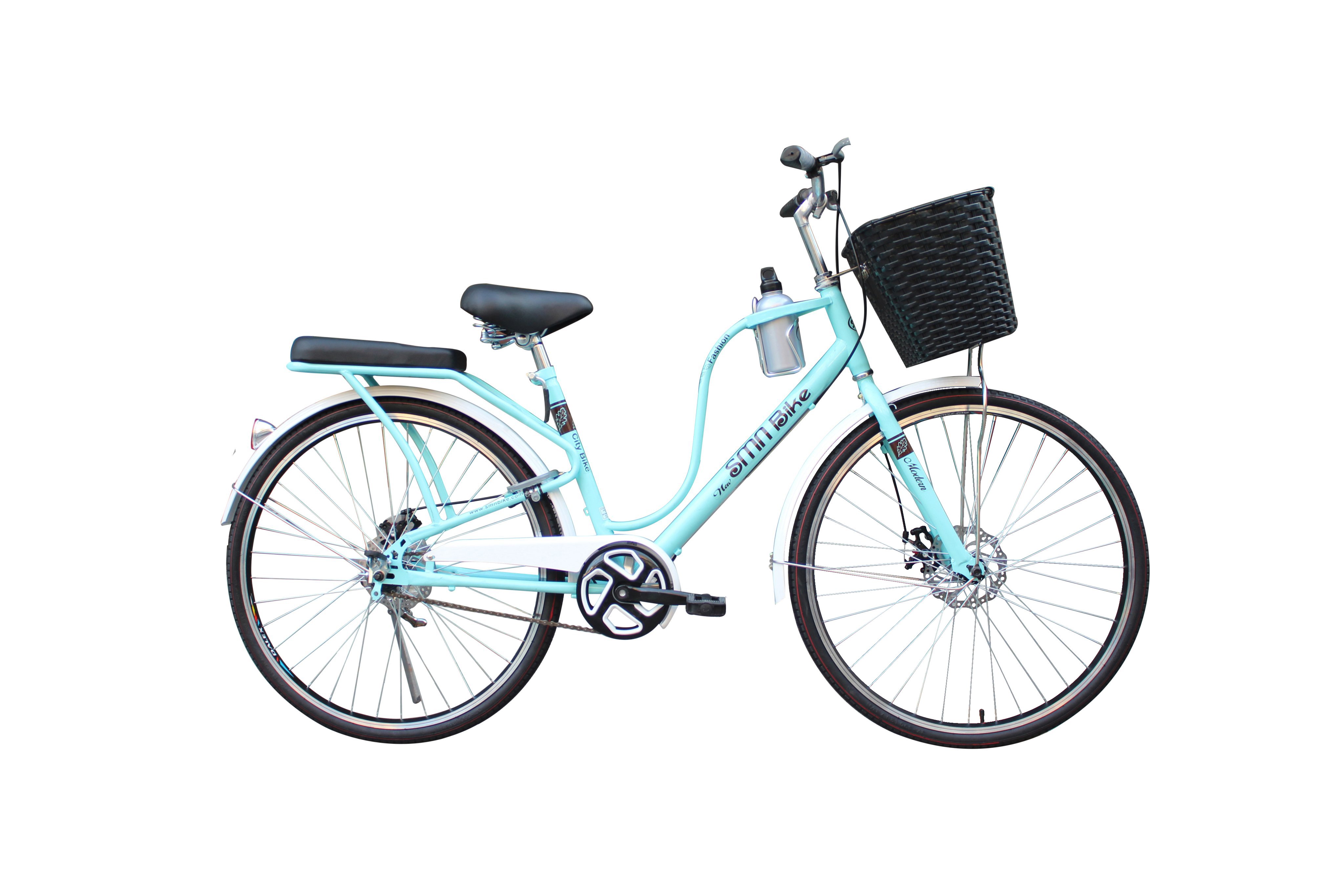 Xe đạp thời trang Smnbike QD26-01 Đề