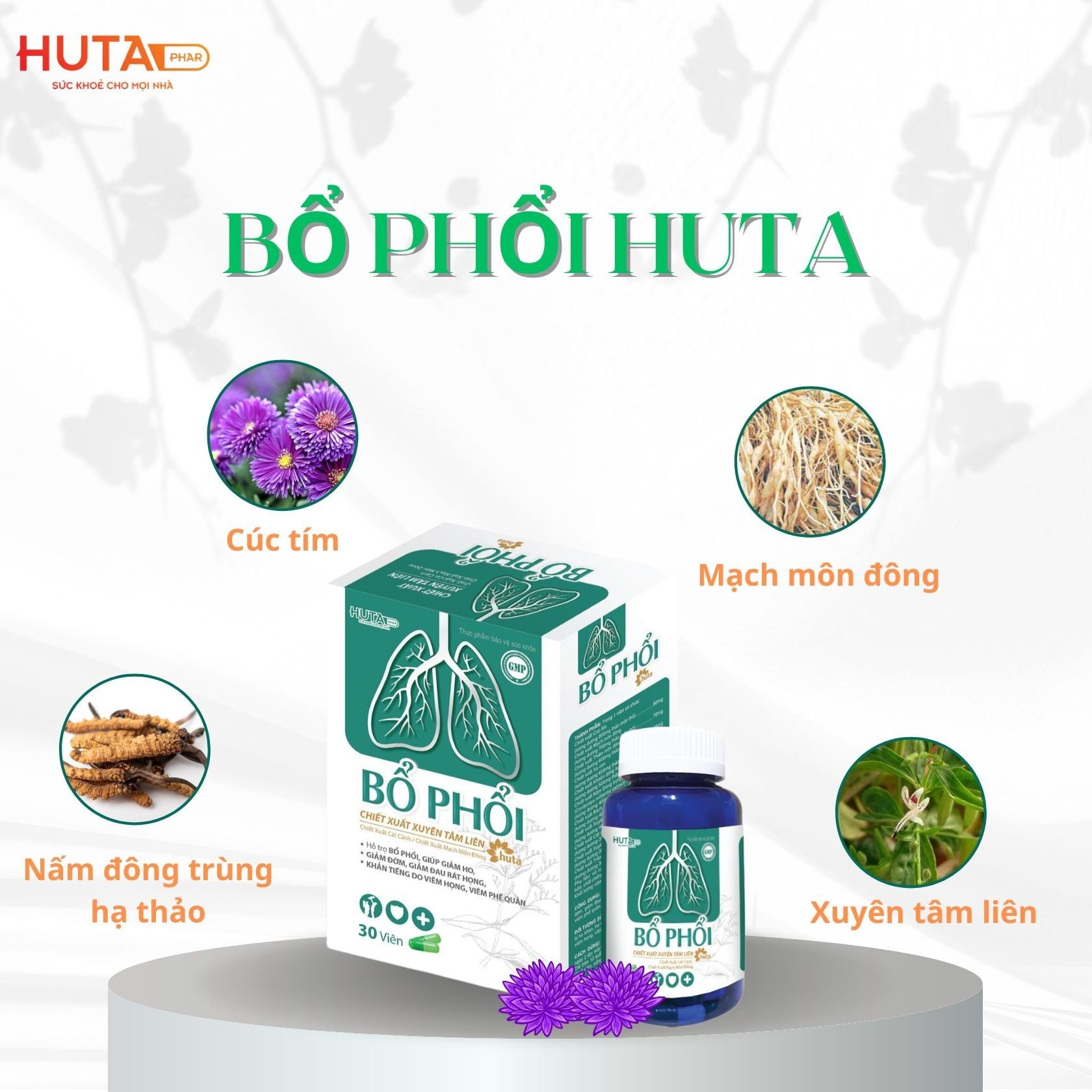BỔ PHỔI -30 viên Hỗ trợ bổ phổi, giảm ho, giảm đờm