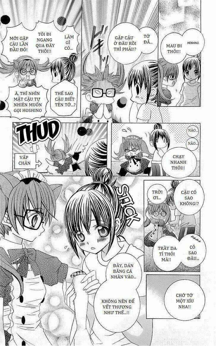 suki desu suzuki-kun!! chapter 40.5 12