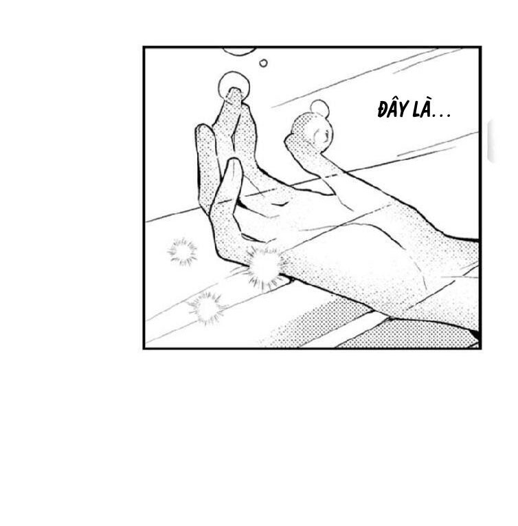 tiếng gọi của tình yêu sau trải nghiệm cận tử chapter 3 13