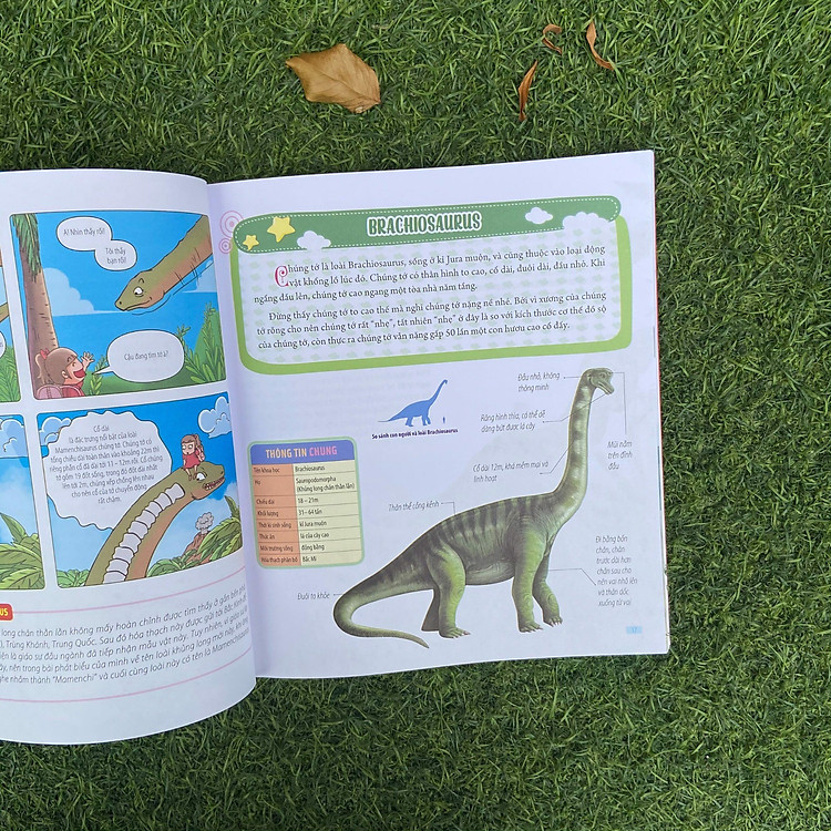 Sách: Bách Khoa Động Vật Dành Cho Trẻ Nhỏ - Khủng Long