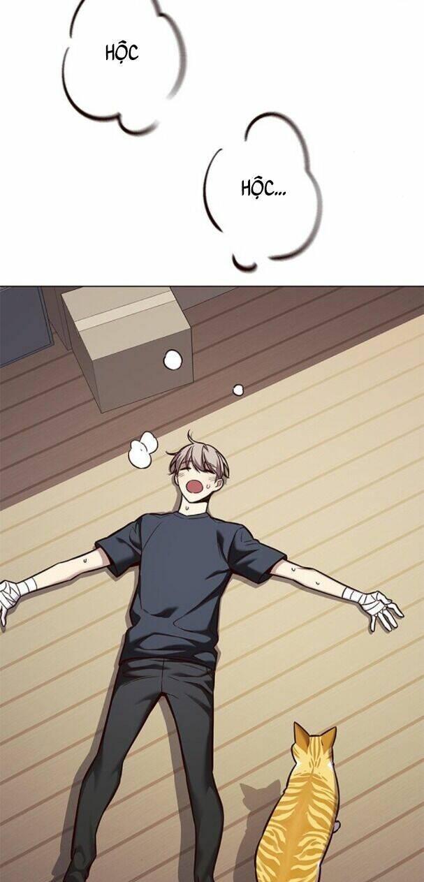 biến thân thành mèo chapter 174 40