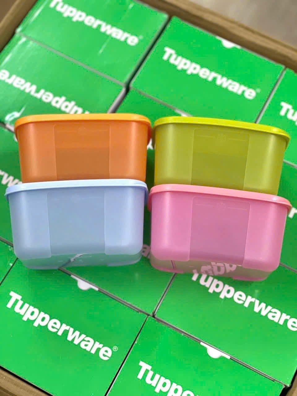 Sét 4 hộp nhựa đựng thực phẩm trữ đông dung tích 700ml