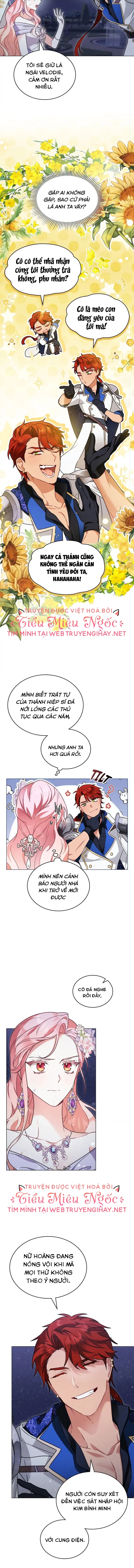 ánh sáng của bình minh chapter 53 10