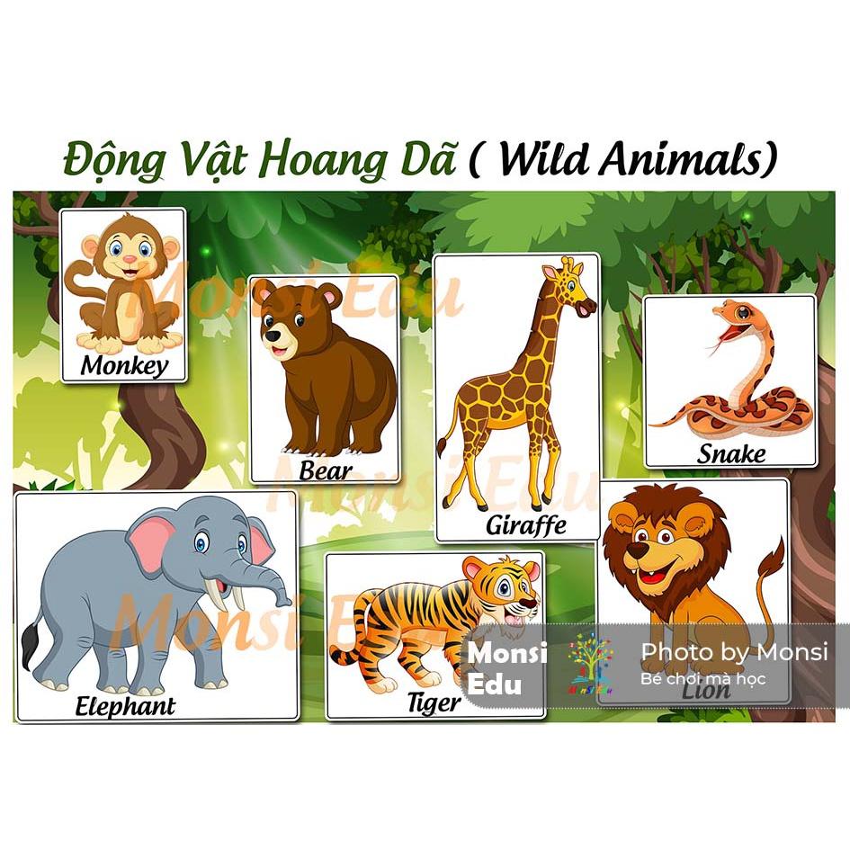 Monsi Edu Học liệu tổng hợp 19 chủ đề Matching Book F18MM