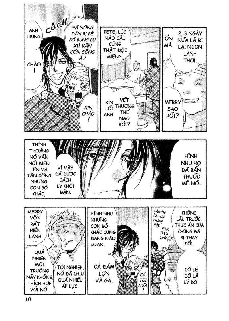 mầm sống chapter 57 10