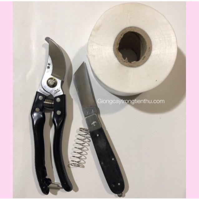 COMBO-3 DỤNG CỤ CHUYÊN DÙNG GHÉP CÂY GIỐNG ĂN QUẢ
