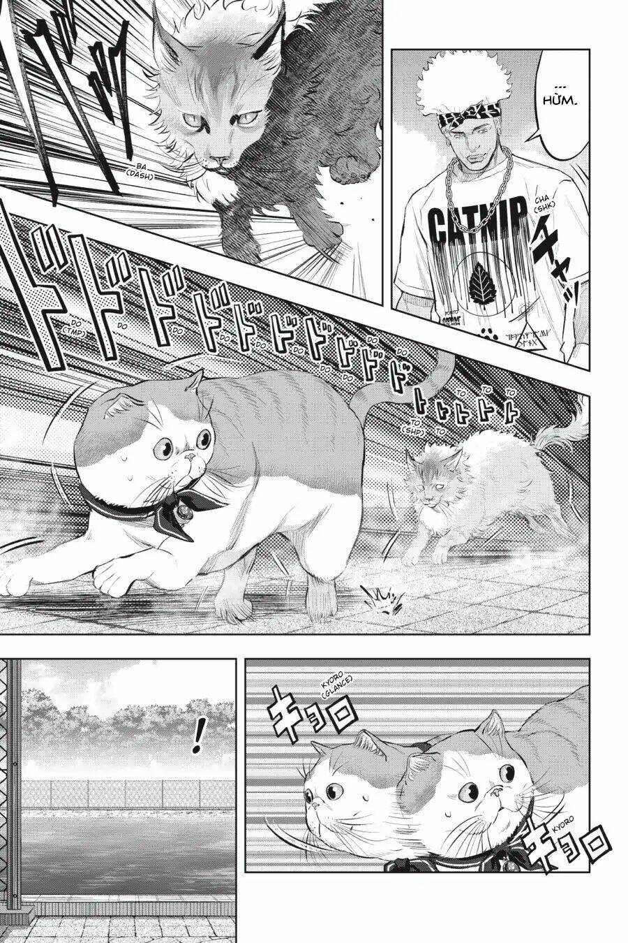 nyankees chapter 14 28