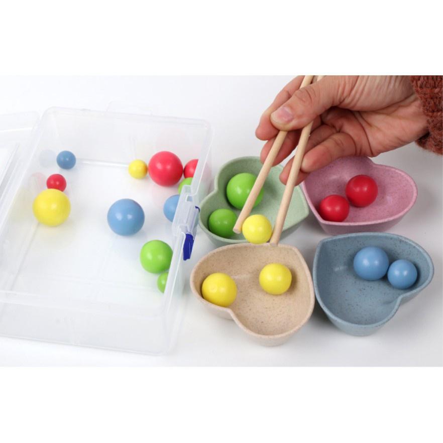 Đồ Chơi Gắp Bi Gỗ - Giáo Cụ Montessori Luyện Vận Động Tinh Cho Bé