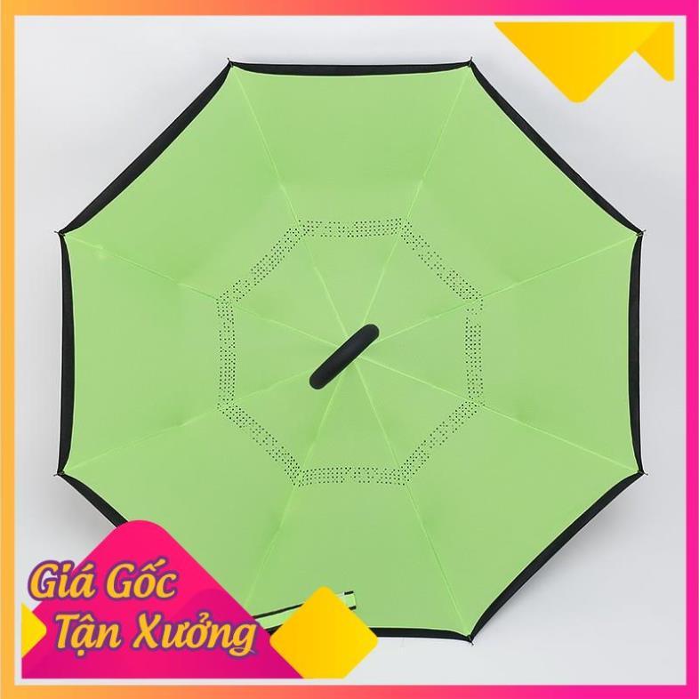 Dù Gấp Ngược Đi Mưa Thông Minh Tay Cầm Chữ C Tiện Lợi  TP'S