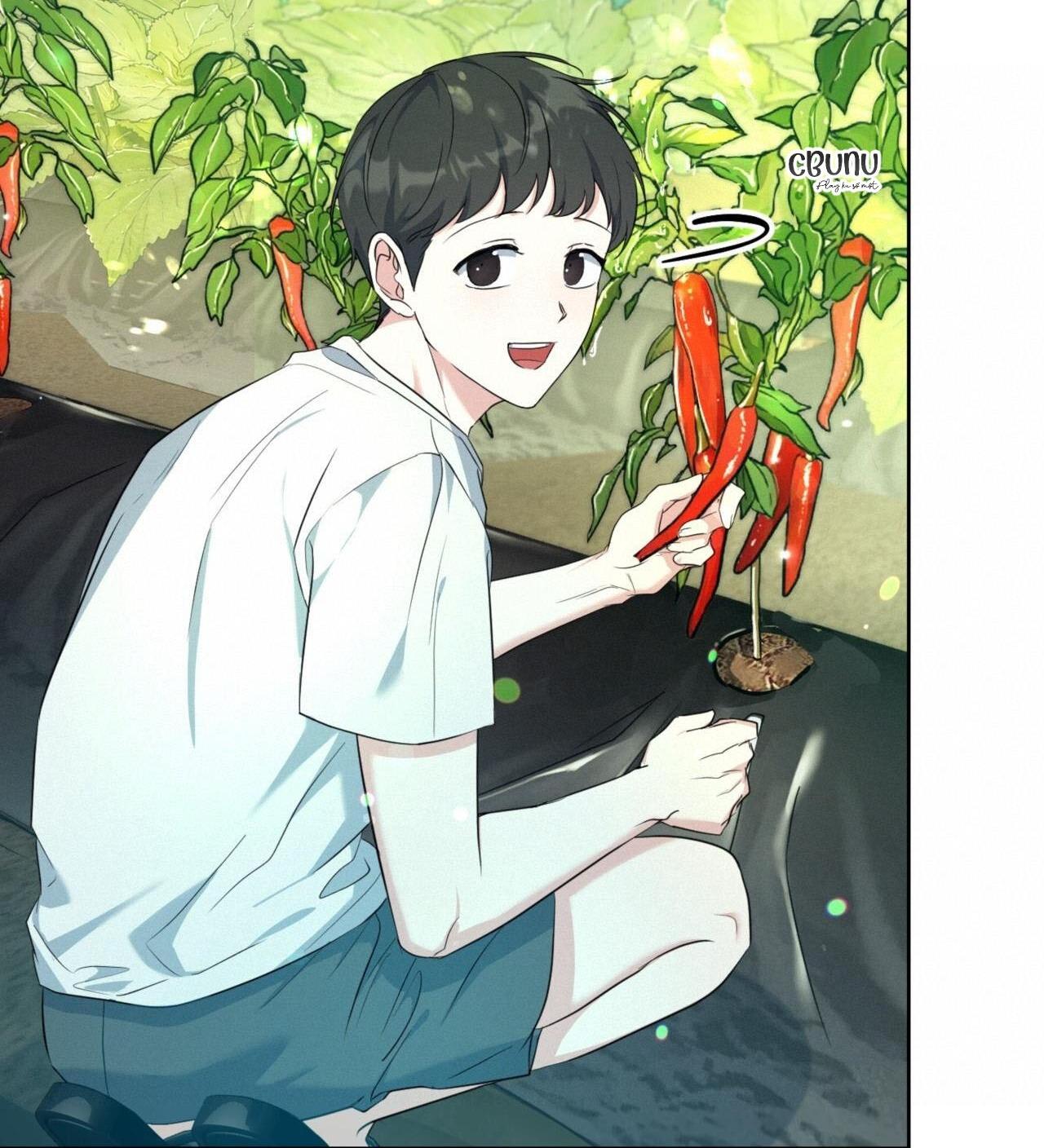 khu rừng tĩnh lặng chapter 3 24