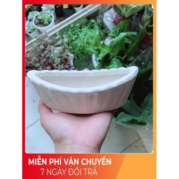 Chậu Trồng Cây