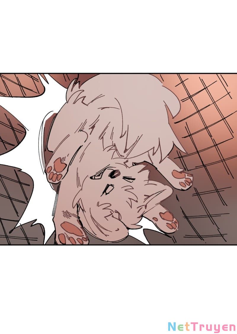 lumine - cội nguồn ánh sáng chapter 107 14