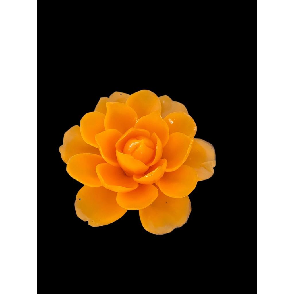 Hoa thược dược đại