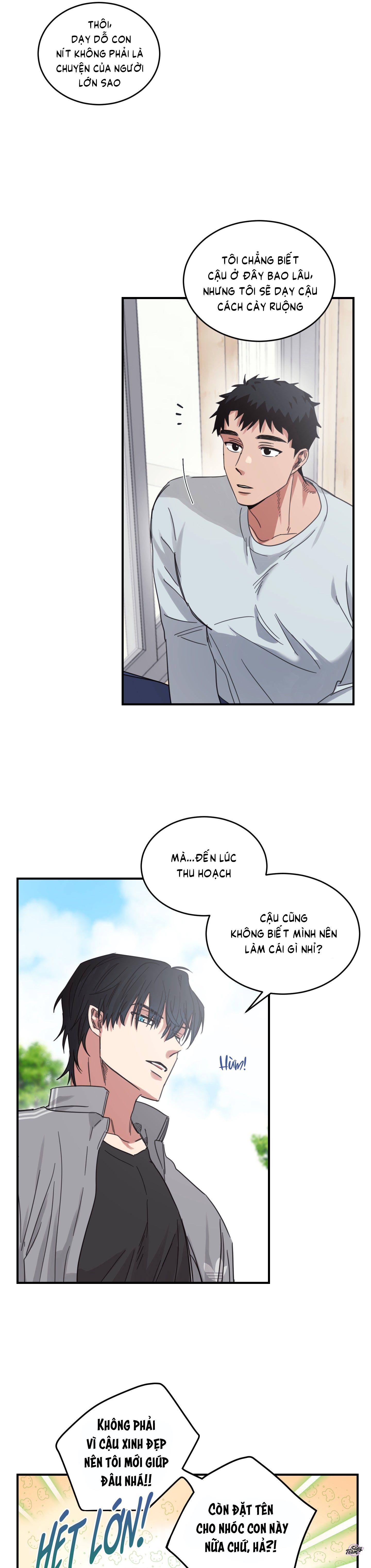 căn nhà mặt trời mọc chapter 4 13