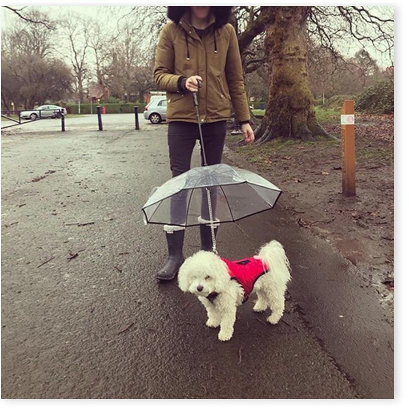 Dù che mưa che nắng cho BOSS Pet Umbrella Gia Dụng SG