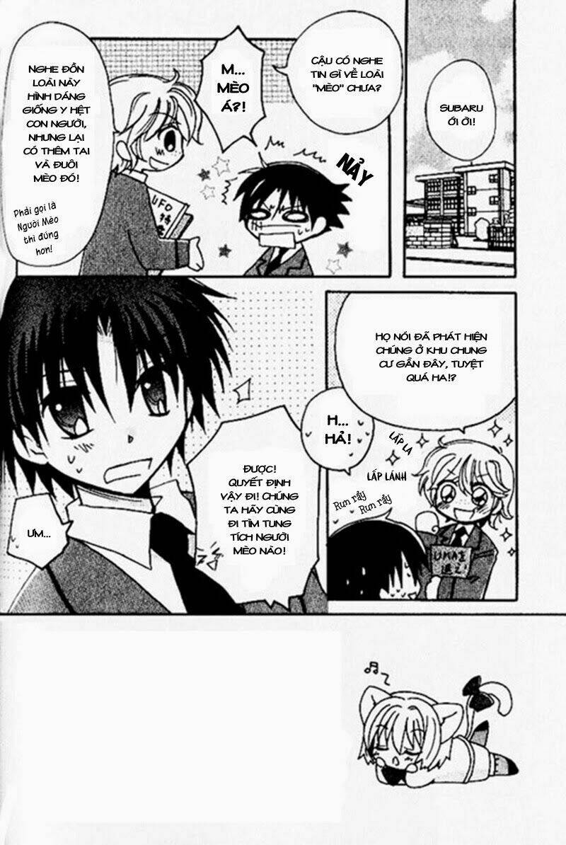 boku x neko? chapter 4 4