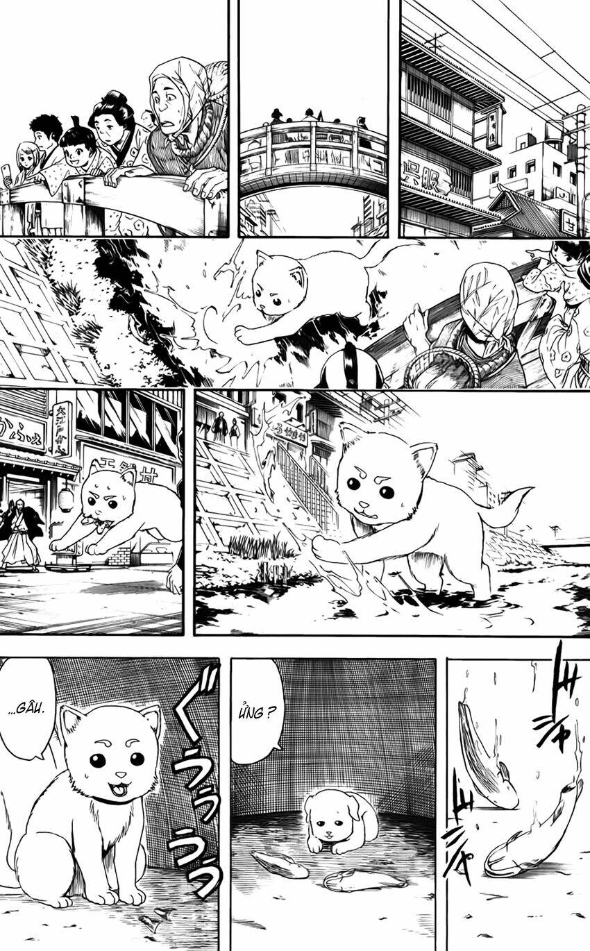 gintama - linh hồn bạc chapter 402 12