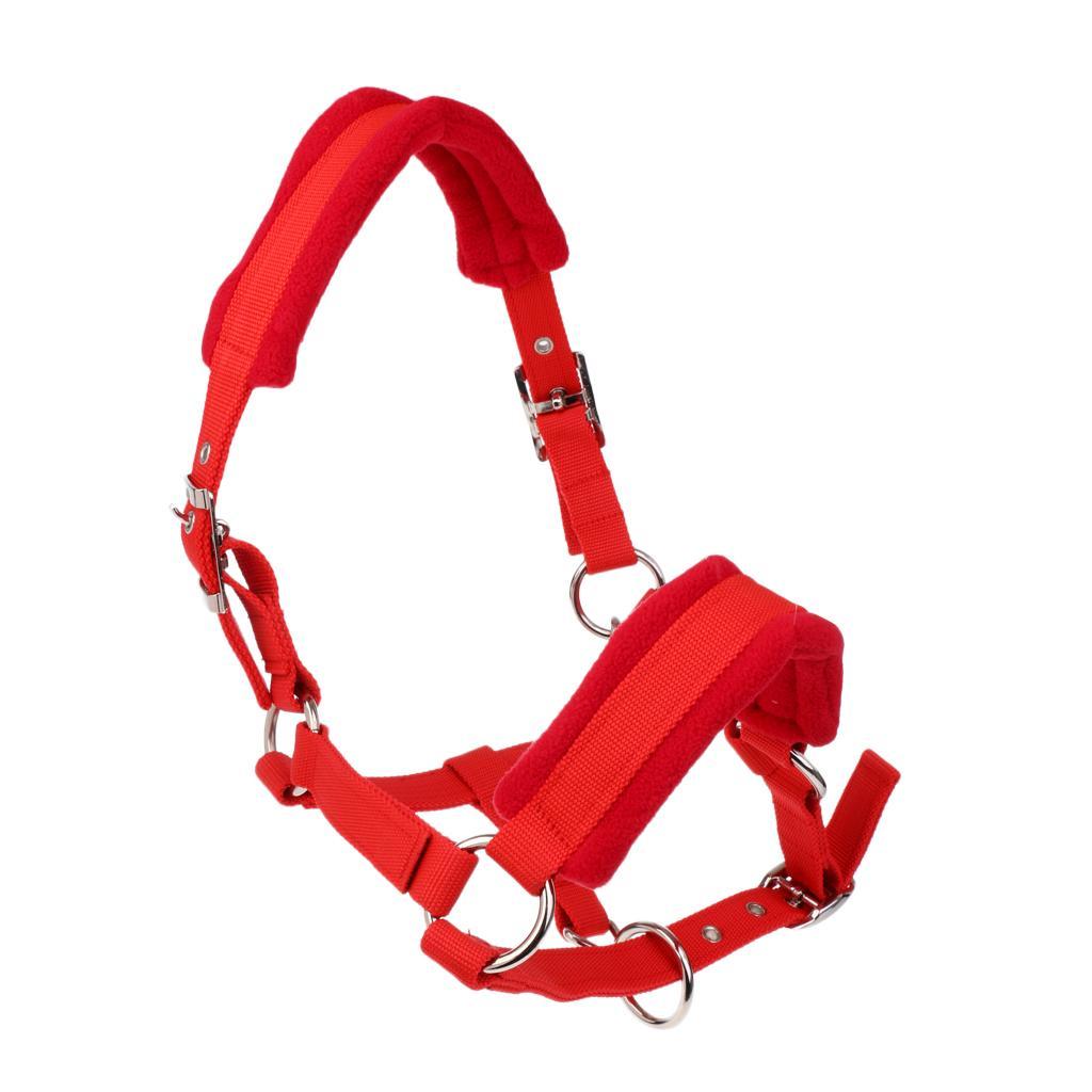 Soft Padded Adjustable Horse Headcollar  + 2.5 Meters Lead Rope