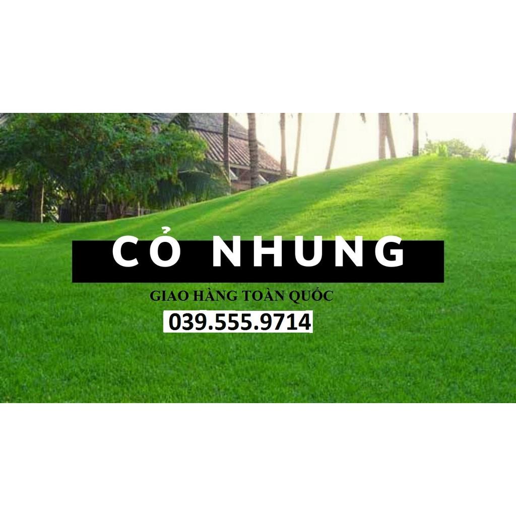 Hạt Cỏ Thảm Nhung Nhật 300gam - Cỏ Trang Trí Sân Vườn