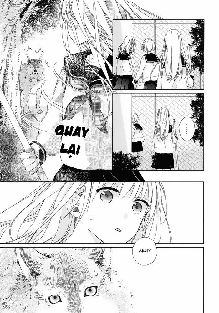 watashi no ookami-kun chapter 15 8