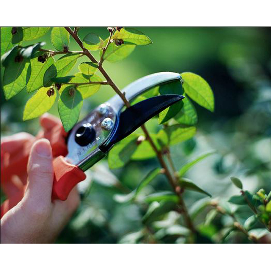 Bộ 3 kéo chuyên dụng làm vườn cao cấp - Hàng nội địa Nhật