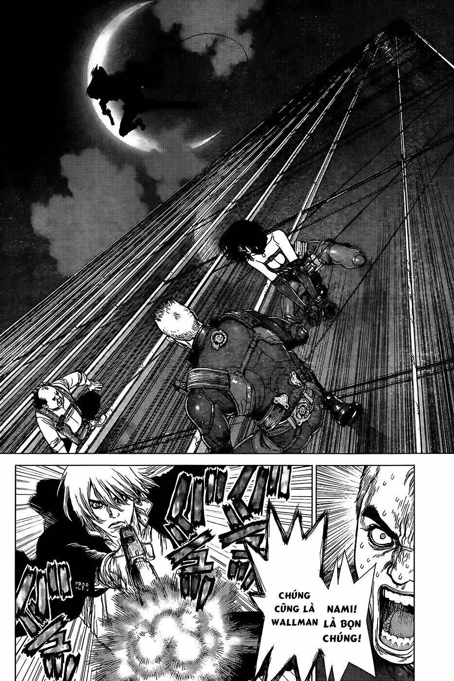 wallman chapter 12 10