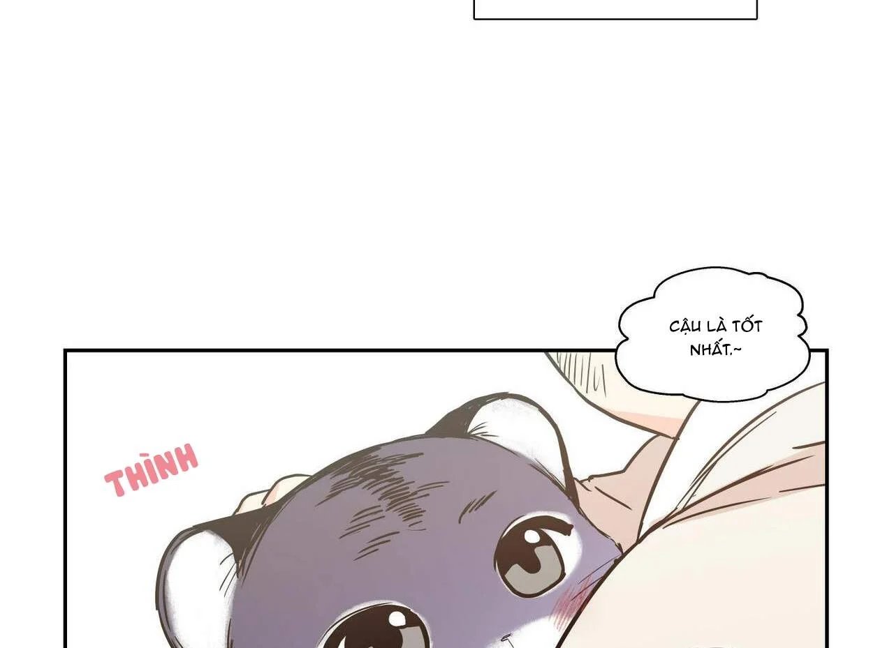 không chốn yêu đương chapter 68 57