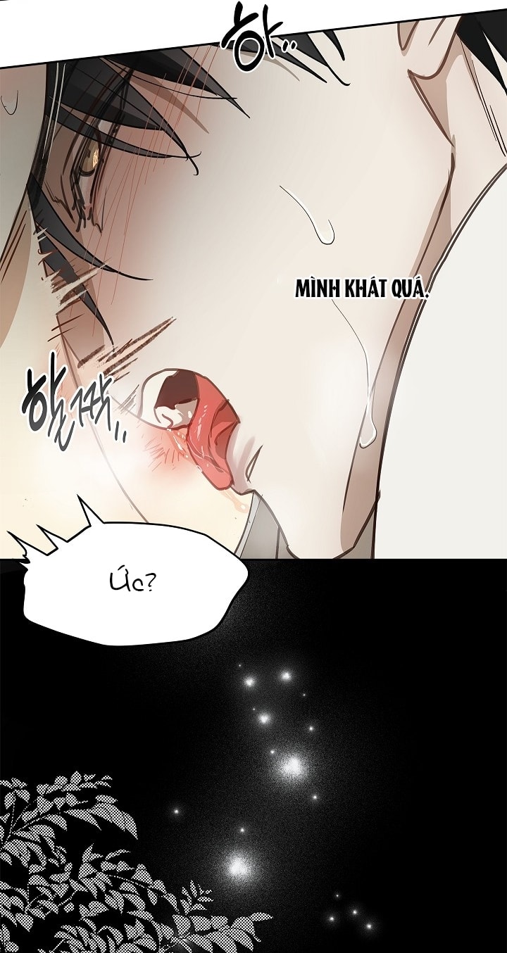 [18+] hoa là mồi nhử chapter 14.2 36