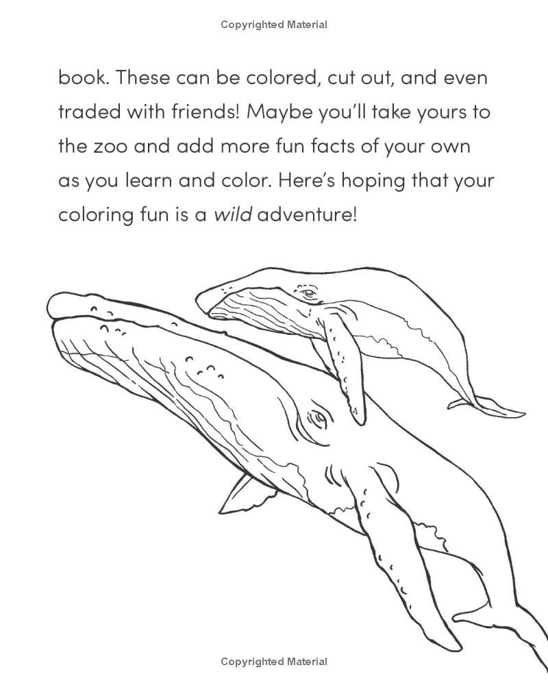 Sách ngoại văn: Wild Animal Book For Kids