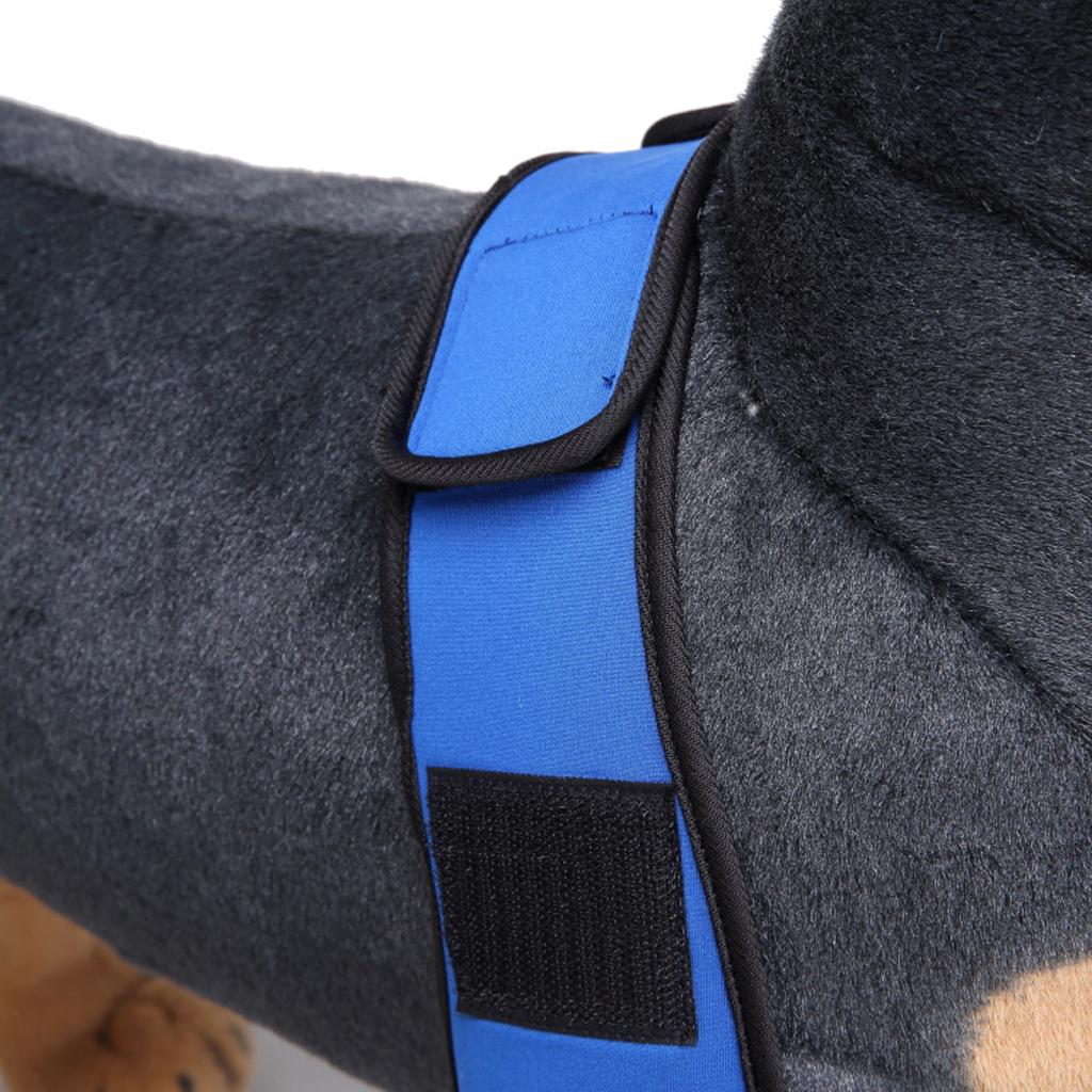 Dog Leg Brace Knee Leg Joint Protector Support Prevents Injuries and Sprains