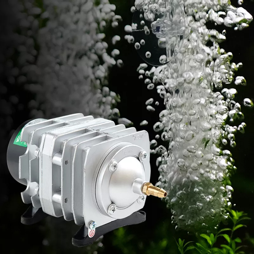 Máy sục sủi thổi khí oxy hồ bể cá cảnh HAILEA aco-208 | máy thổi oxy cho hồ bể cá 25w | máy sục khí bể cá điện 220v | máy sục khí bể cá mini | máy sục khí | máy sục khí mini | máy sục oxi bể cá