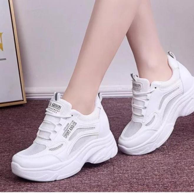 Freeship Giày Sneaker Nữ, Giày Thể Thao Nữ Giày Thể Thao Nữ Độn Đế 4-5Cm Mùa Xuân Thu Hàn Quốc Màu Trắng Giá Tốt Bảo Hàn