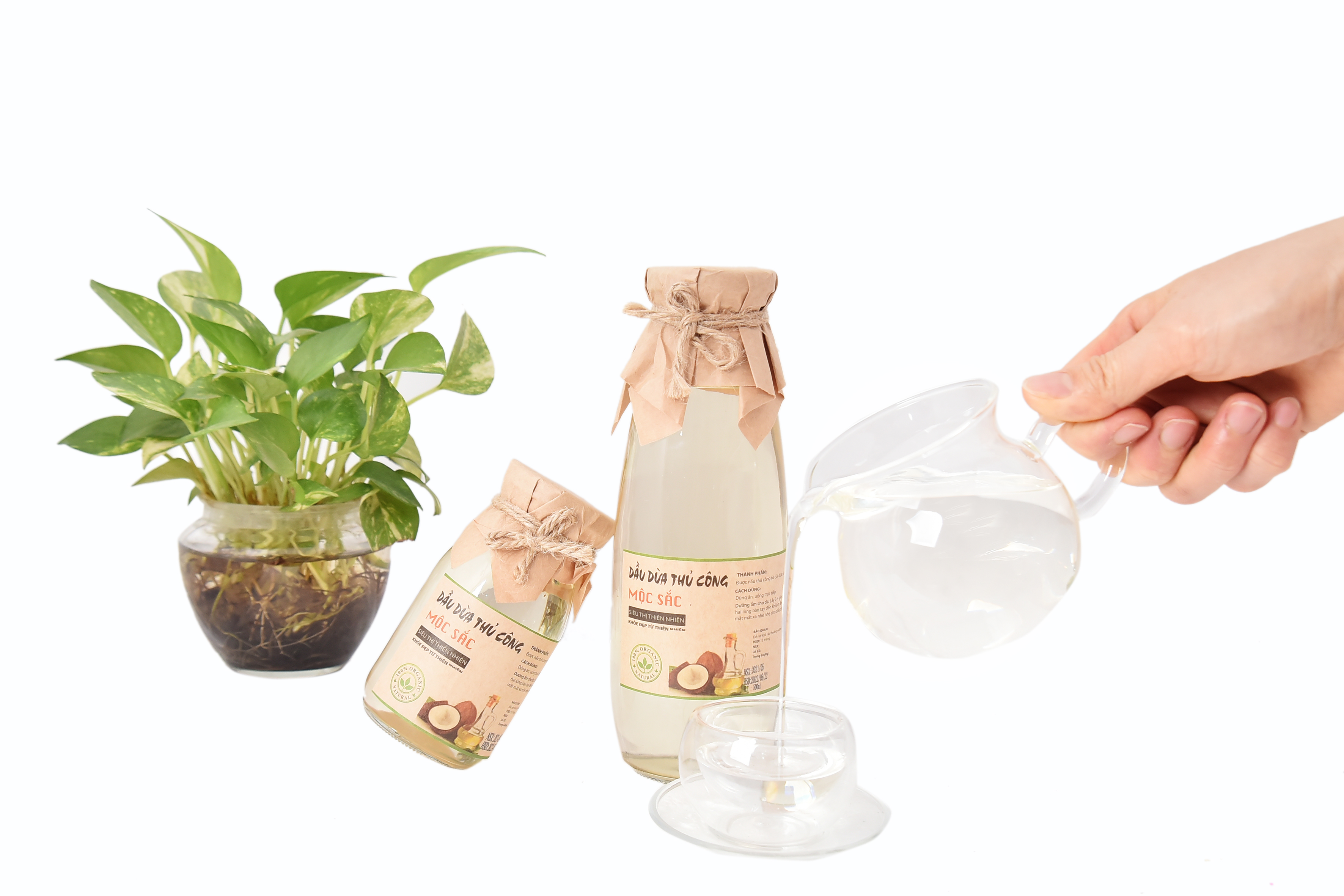 Dầu dừa Mộc Sắc
