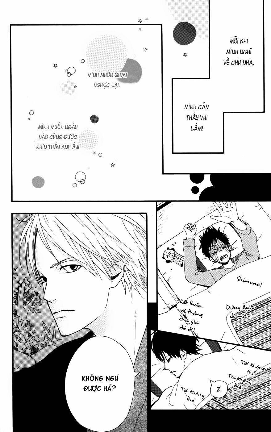 yume miru taiyou chapter 29 11