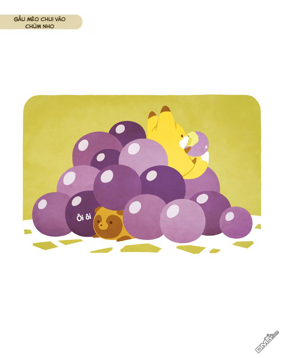 cáo và gấu mèo chapter 11 16