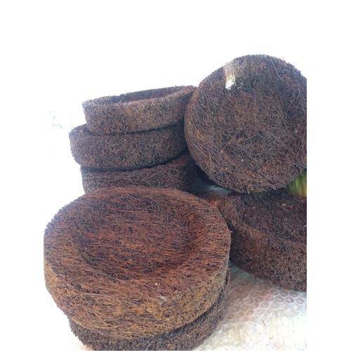 4 DỚN TRỒNG LAN  - Chuyên dùng ghép lan