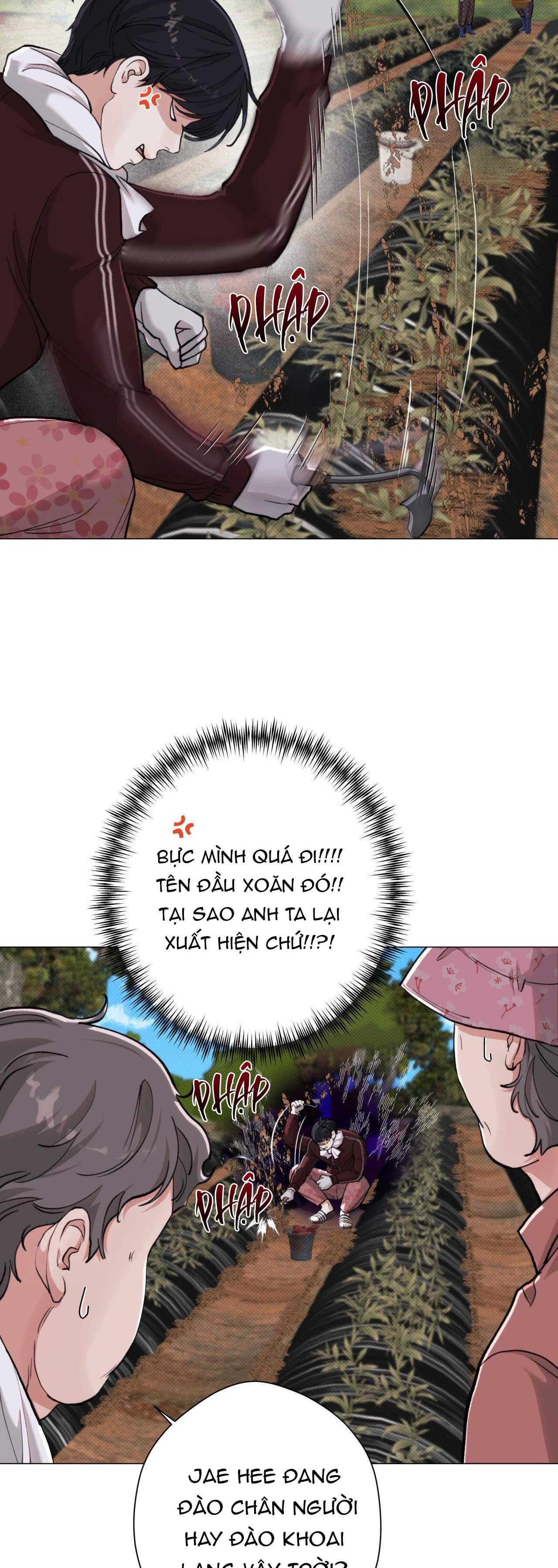 em bé và đại ca chapter 28 31