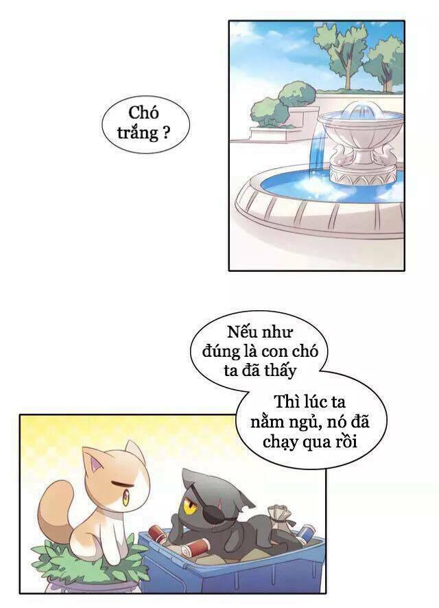dưới móng vuốt mèo chapter 15 16
