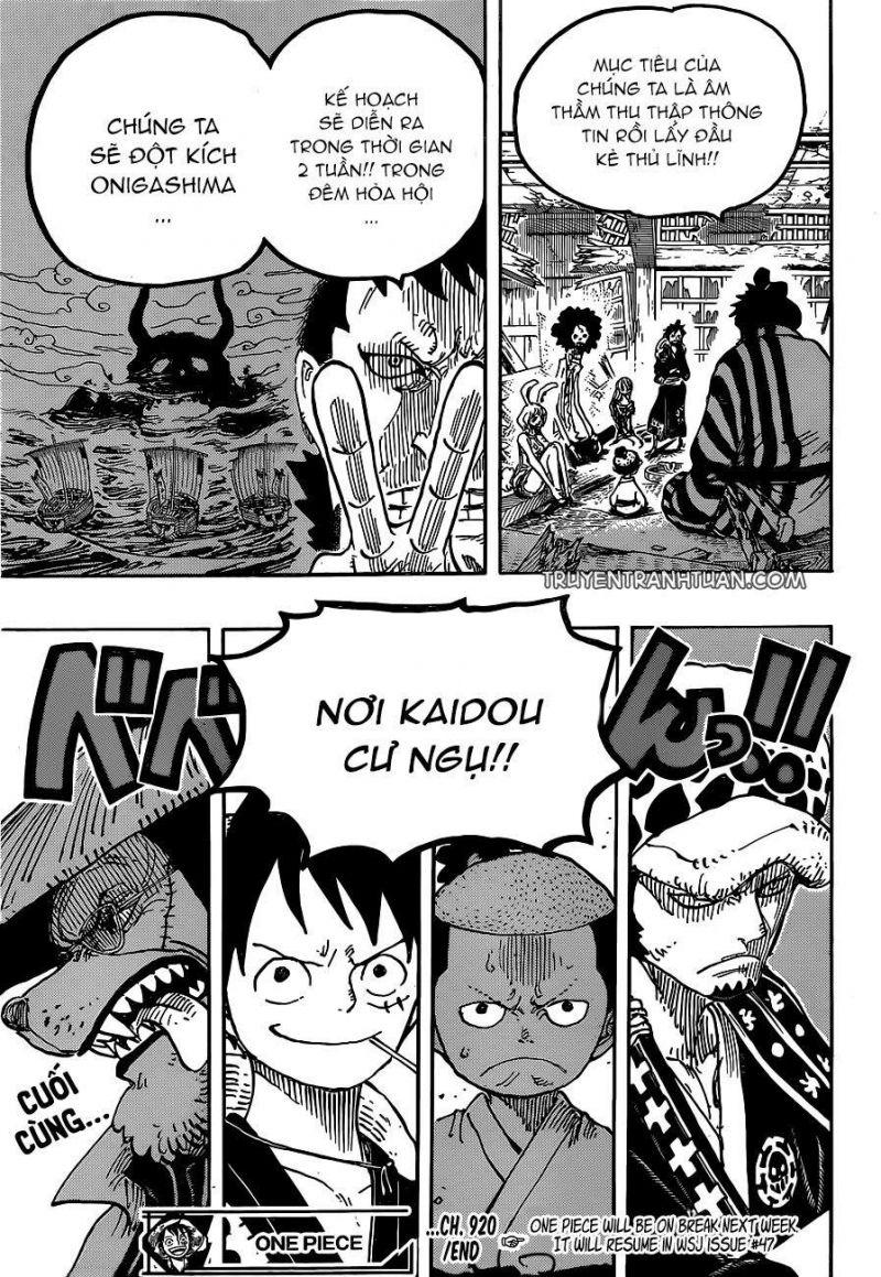đảo hải tặc - one piece chapter 920 16