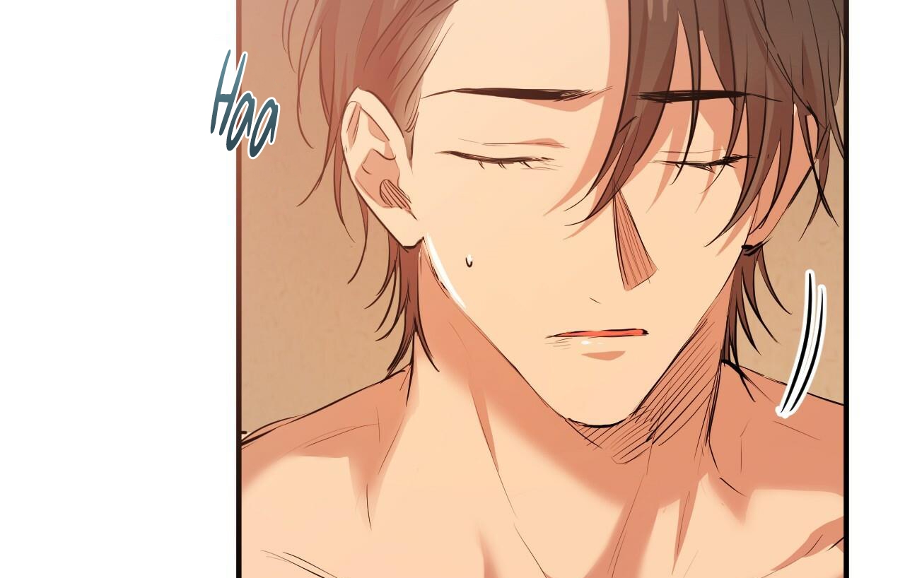 đàn thỏ của habibi chapter 26 126