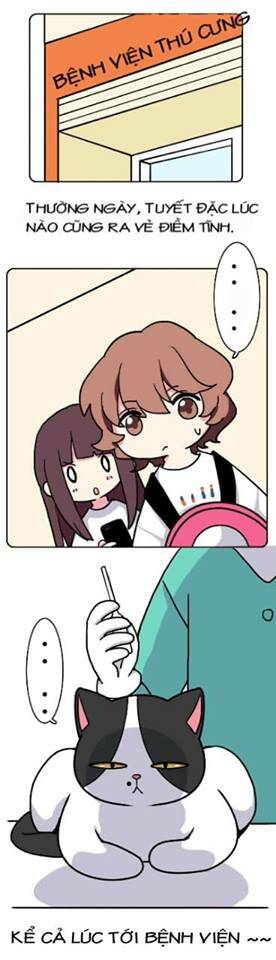 hello dư tuyết đặc chapter 2 2